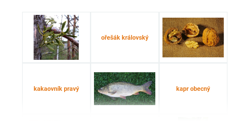 Biologický vánoční speciál