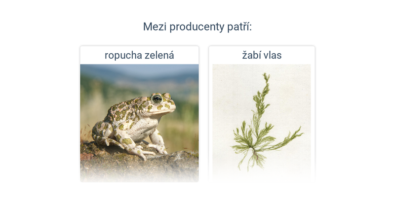 Úvod do ekologie: mix