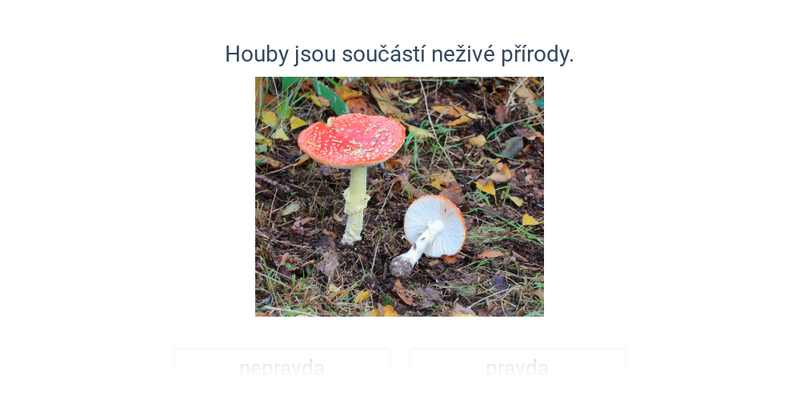 Ekologie: mix