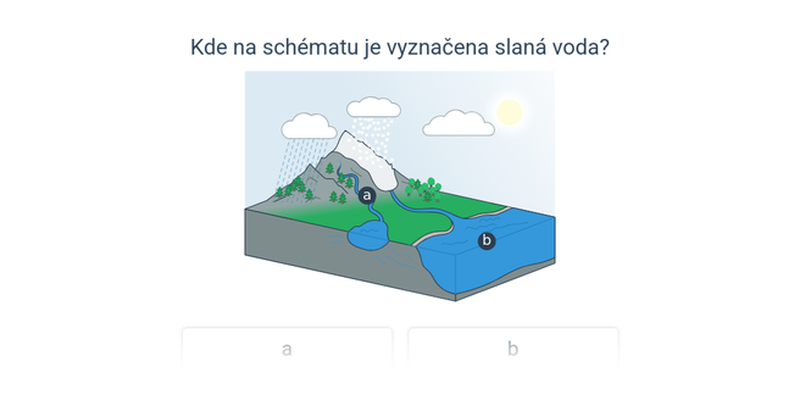 Voda: základy a koloběh