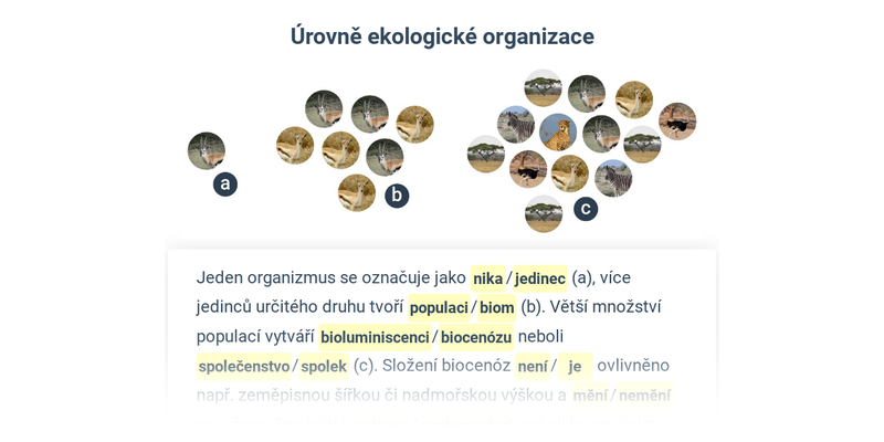 Ekologie: mix
