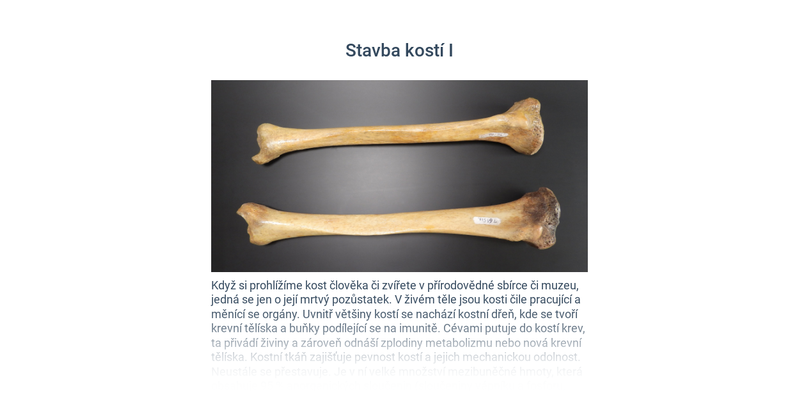Kostra obecně