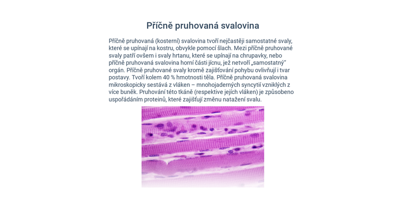 Svaly