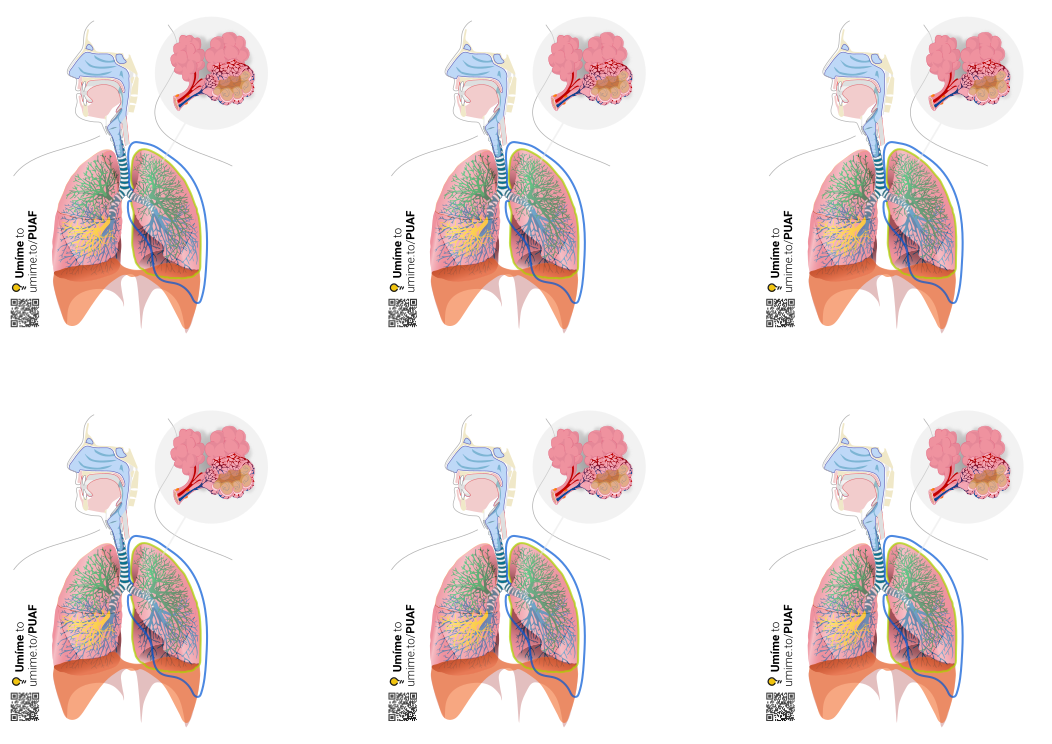 Schémata dýchací soustavy k rozstříhání a popisu