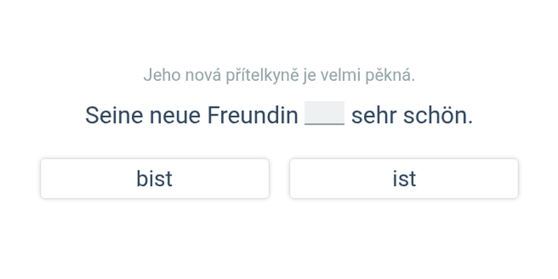 Sloveso sein