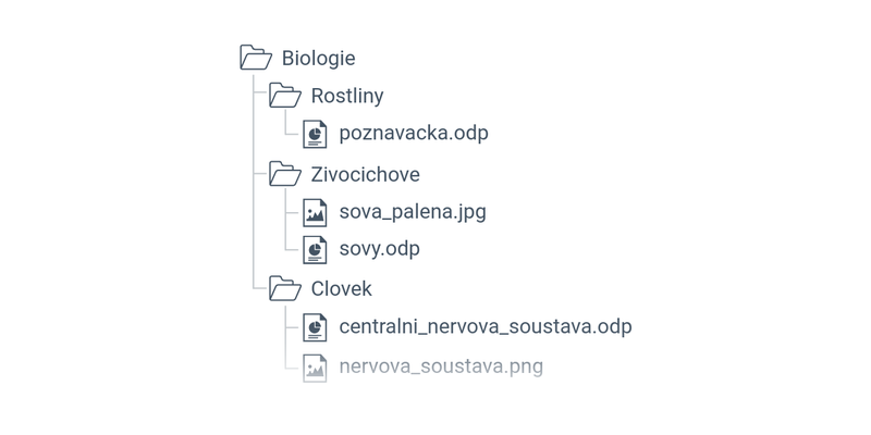 Organizace souborů